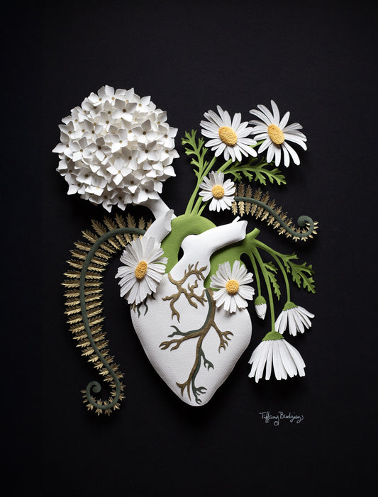 Healing Heart: Daisies & Hydrangea